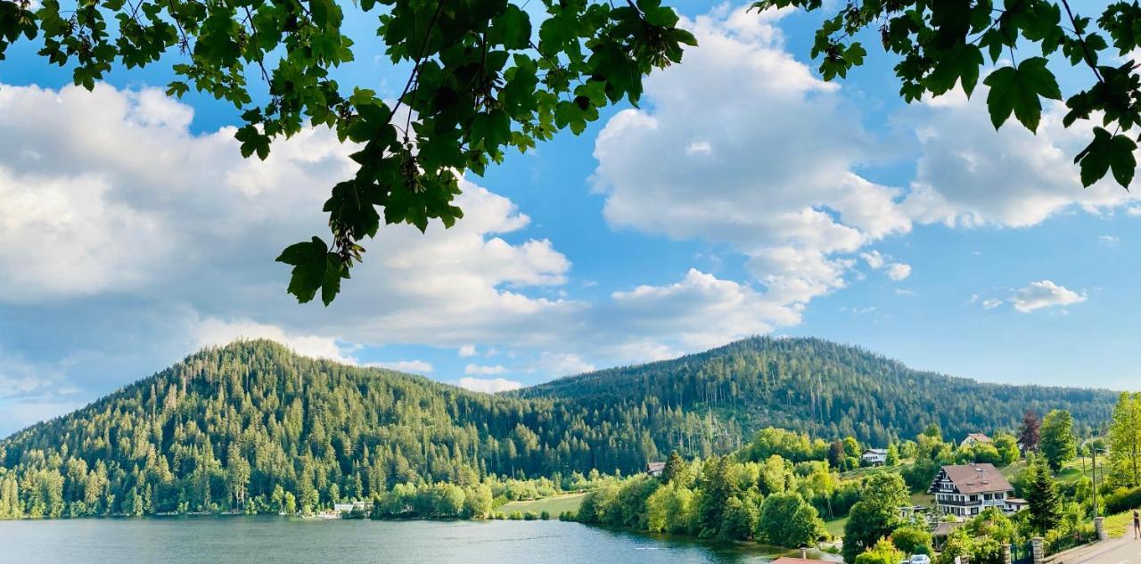 Le Chalet Au Bord Du Lac Gérardmer Exteriör bild